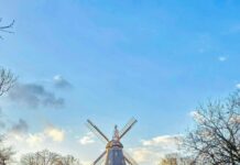 Aufstellungen Teilnehmer Energie Cottbus Gegen Werder Bremen – Wer Gewinnt?