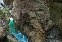 Aufstellungen Teilnehmer AS Rom Gegen Bayer Leverkusen – Wer Gewinnt?