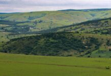 Aufstellungen Teilnehmer Al-Nassr FC Gegen Inter Miami – Wer Gewinnt?