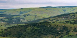 Aufstellungen Teilnehmer Al-Nassr FC Gegen Inter Miami – Wer Gewinnt?