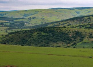 Aufstellungen Teilnehmer Al-Nassr FC Gegen Inter Miami – Wer Gewinnt?