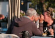 Aufstellungen Teilnehmer Al-Nassr FC Gegen Al-Hilal: Wer Gewinnt?