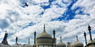 Aufstellungen Teilnehmer: Wer Gewinnt Brighton & Hove Albion Gegen Manchester City?