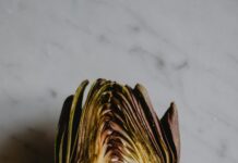 Aufstellungen Teilnehmer: Wer Gewinnt Atalanta Bergamo Gegen Bayer Leverkusen?