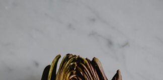 Aufstellungen Teilnehmer: Wer Gewinnt Atalanta Bergamo Gegen Bayer Leverkusen?