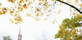 Aufstellungen Teilnehmer FC St. Pauli Gegen RB Leipzig – Wer Gewinnt?