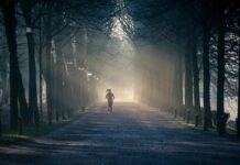 Aufstellungen Teilnehmer RB Leipzig Gegen Bayer 04 Leverkusen: Wer Gewinnt?