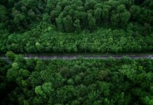 Aufstellungen Teilnehmer Werder Bremen Gegen VfB Stuttgart – Wer Spielt Heute?