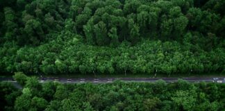 Aufstellungen Teilnehmer Werder Bremen Gegen VfB Stuttgart – Wer Spielt Heute?