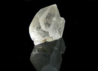 Aufstellungen Teilnehmer Fortuna Düsseldorf Gegen HSV – Wer Gewinnt?