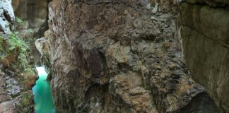 Aufstellungen: Teilnehmer Bayer Leverkusen Gegen Qarabağ – Wer Gewinnt?