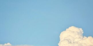 Aufstellungen Teilnehmer VfB Stuttgart Gegen 1. FC Kaiserslautern – Wer Gewinnt?