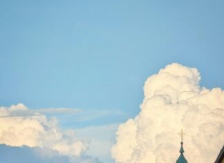 Aufstellungen Teilnehmer VfB Stuttgart Gegen 1. FC Kaiserslautern – Wer Gewinnt?