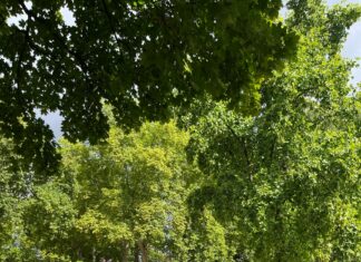 Aufstellungen Teilnehmer Al-Hilal Gegen Al-Nassr FC: Wer Gewinnt?