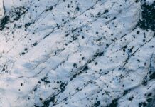 Aufstellung Deutschland Schottland: Spannende Details Und Insights Enthüllt