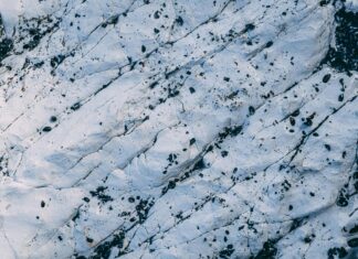 Aufstellung Deutschland Schottland: Spannende Details Und Insights Enthüllt