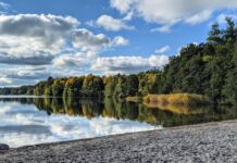 Aufstellungen Teilnehmer HSV Gegen 1 FC Köln: Wer Überraschend Startet?