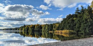 Aufstellungen Teilnehmer HSV Gegen 1 FC Köln: Wer Überraschend Startet?