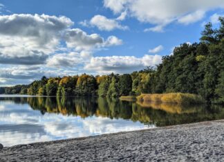 Aufstellungen Teilnehmer HSV Gegen 1 FC Köln: Wer Überraschend Startet?