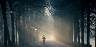 Aufstellungen Teilnehmer RB Leipzig Gegen BVB – Wer Steht Im Fokus?