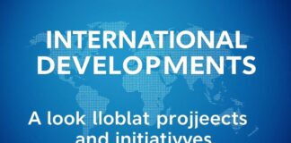 Internationale Entwicklungen: Ein Blick auf globale Projekte und Initiativen International Developments: A Look at Global Projects and Initiatives